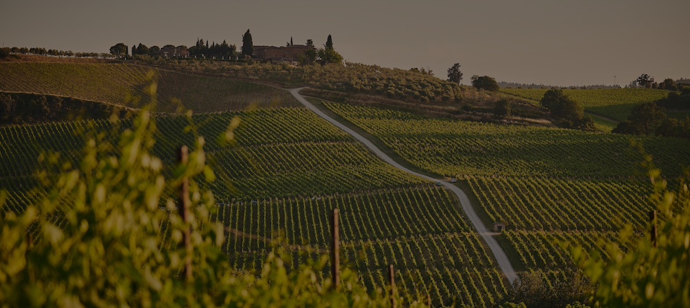 Osteria IL Centro Italian Wine Spotlight: Chianti